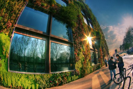 457109250_c5775082d5_o