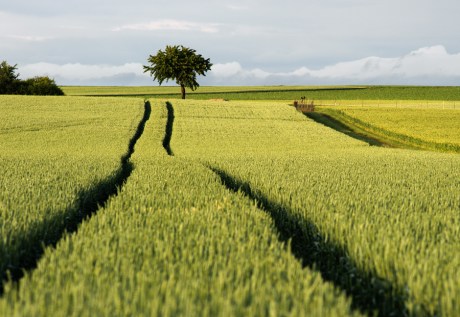 Philippe Klinger - 3