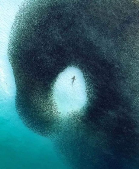 78197100_489727815230193_8191481821590978560_n